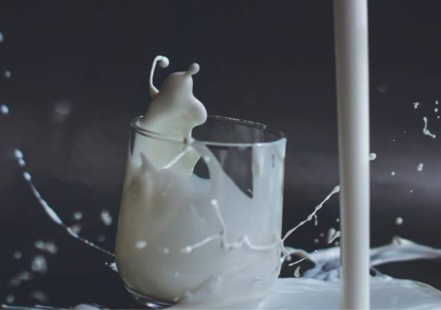 dairy product