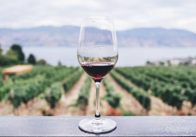 wine